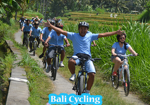 Bali Cycling