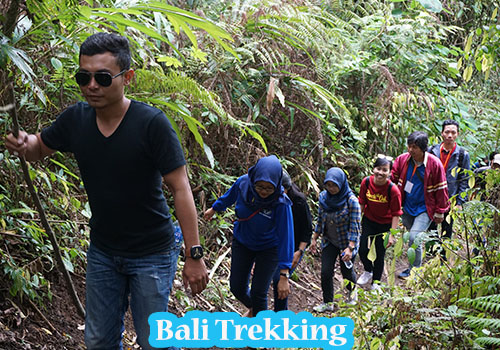Bali Trekking