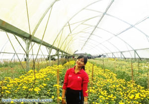 Soewan Garden Bedugul Bali