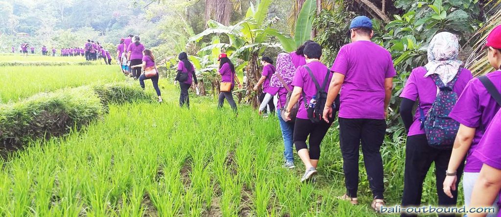Bali Trekking