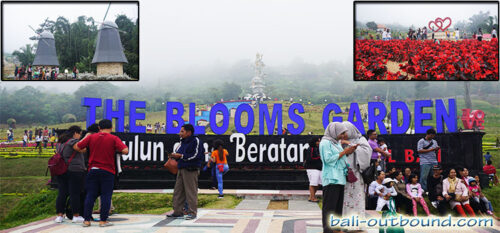 The Blooms Garden Bedugul