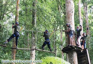 Bali Treetop Adventure