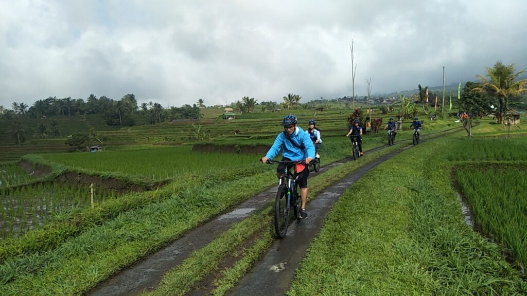 ubud bersepeda di bali