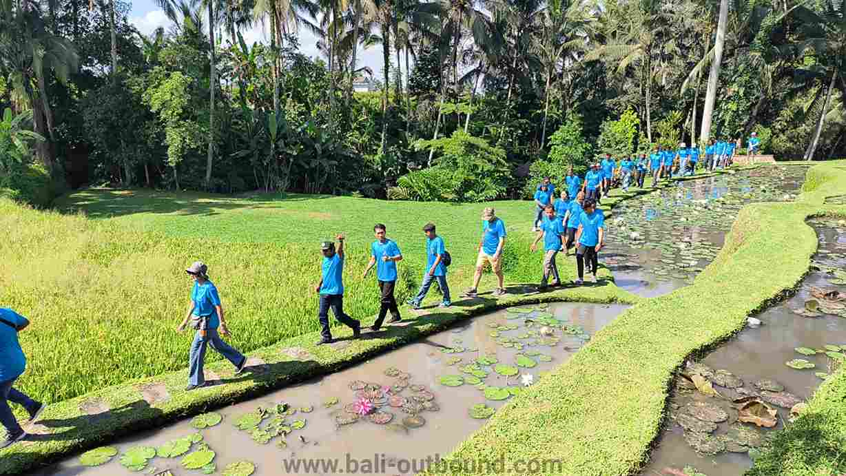 Trekking- Sawah Bali