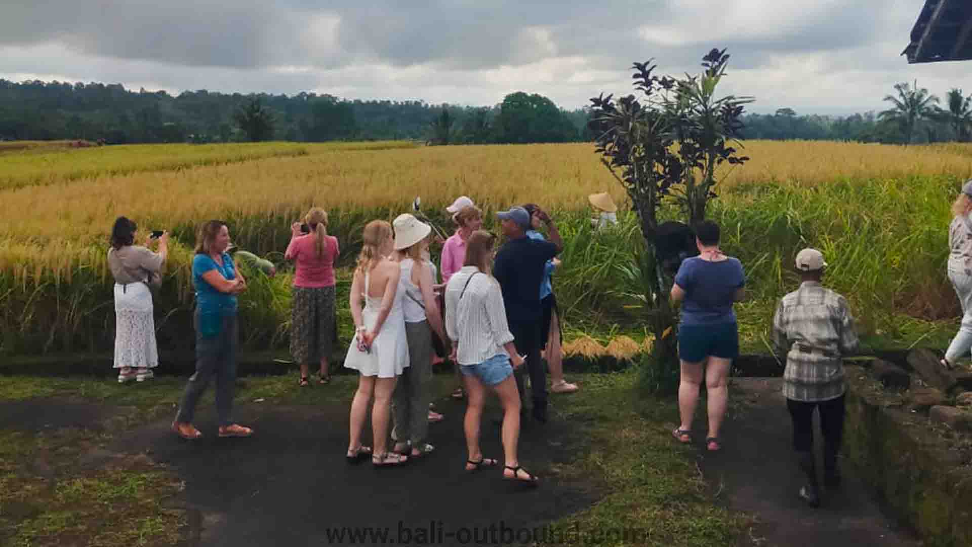 Jeep Bali - Adventure dengan Jeep