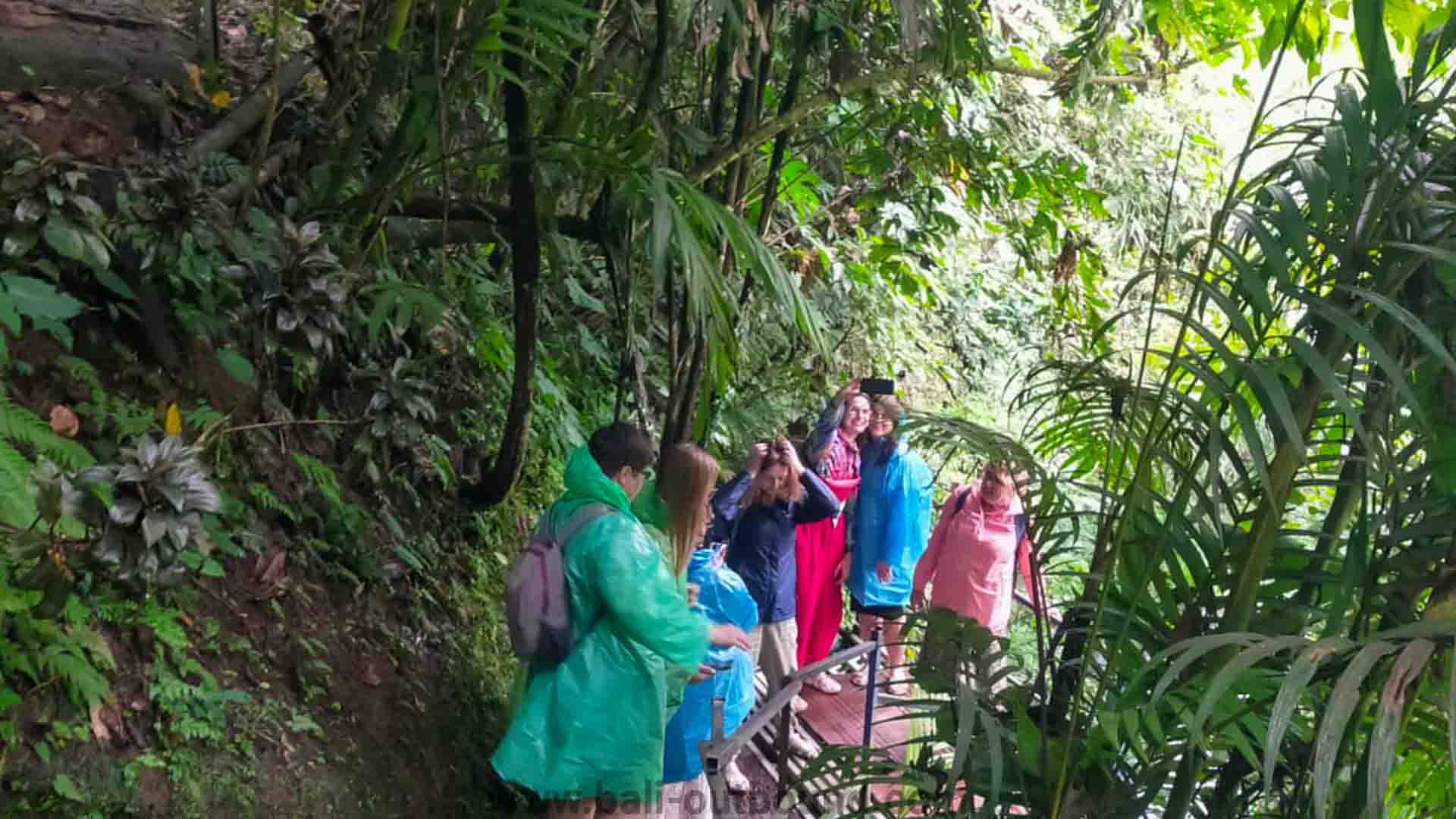 Jeep Bali - Jeep Di Jatiluwih