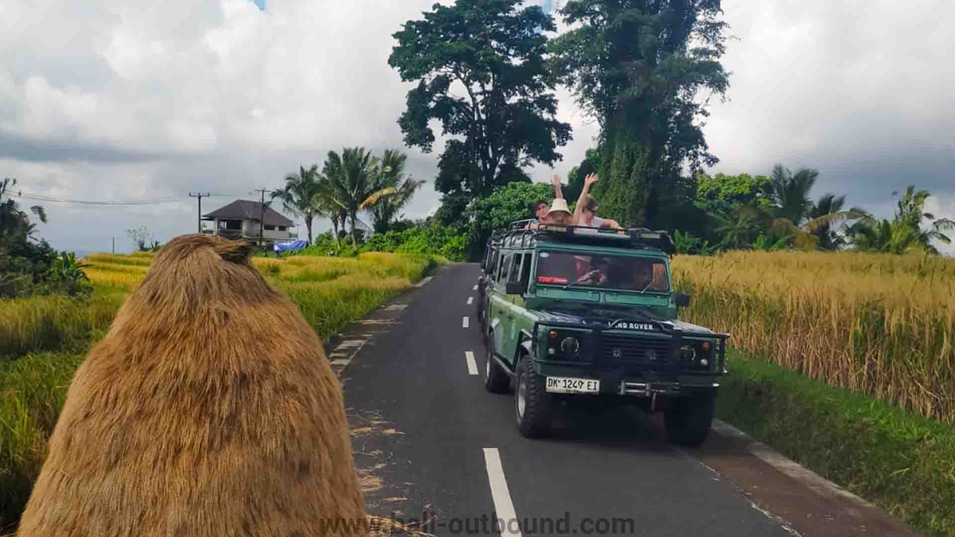 Jeep Bali - Jeep bali