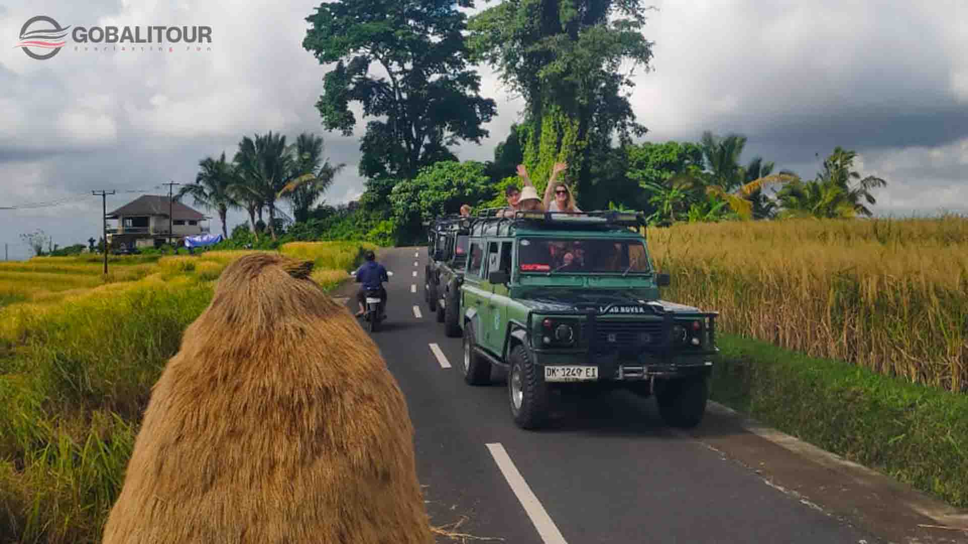 bali outbound - Village Jeep Polandian (Jatiluwih)