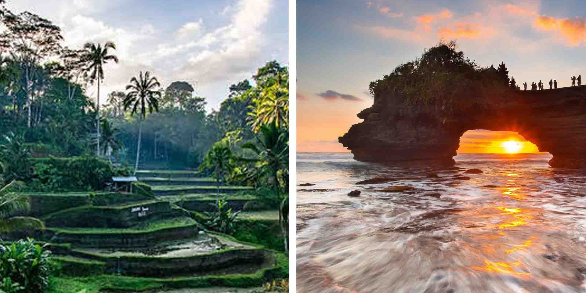 Perbandingan wisata Ubud vs Canggu di Bali, suasana sawah hijau yang tenang dan pantai dengan surfer yang ramai.