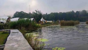 Keluarga menikmati glamping dan alam hijau di The Jineng Glamping Bedugul