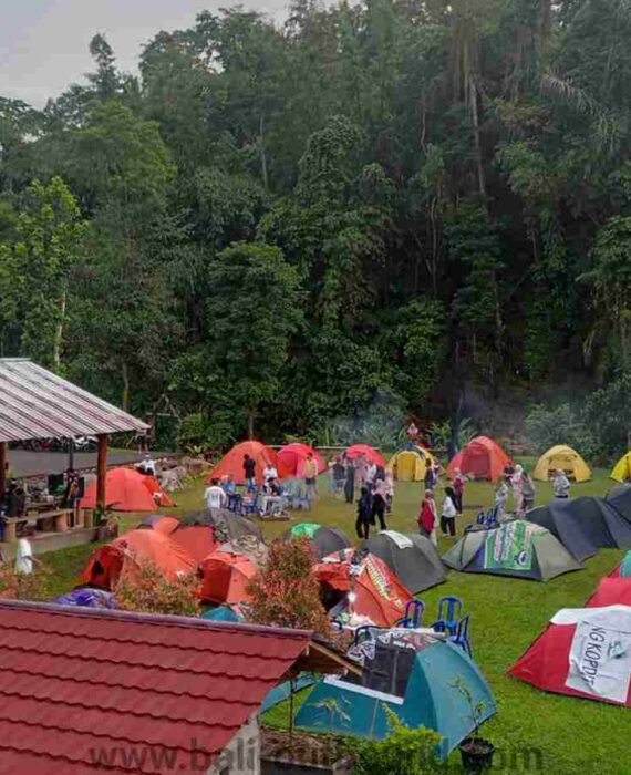 Lapangan luas di Mulia Agro Eduwisata Desa Piling Penebel untuk kegiatan team building dan gathering.