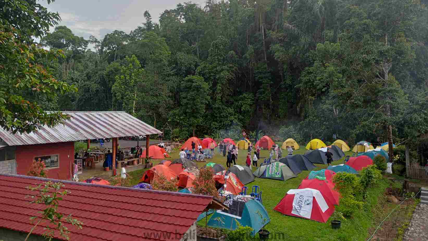 Lapangan luas di Mulia Agro Eduwisata Desa Piling Penebel untuk kegiatan team building dan gathering.