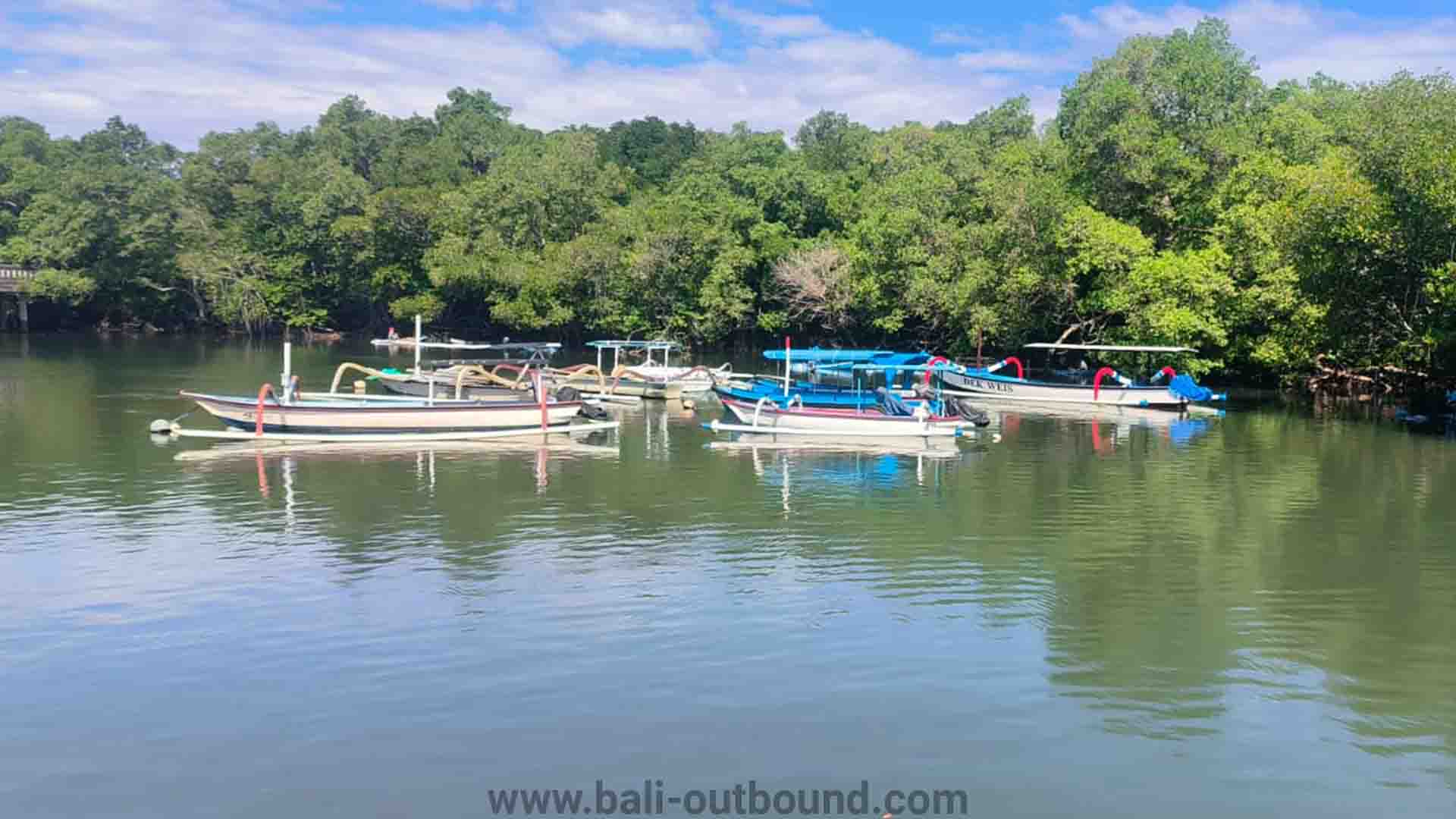 CSR Manggrove di Bali